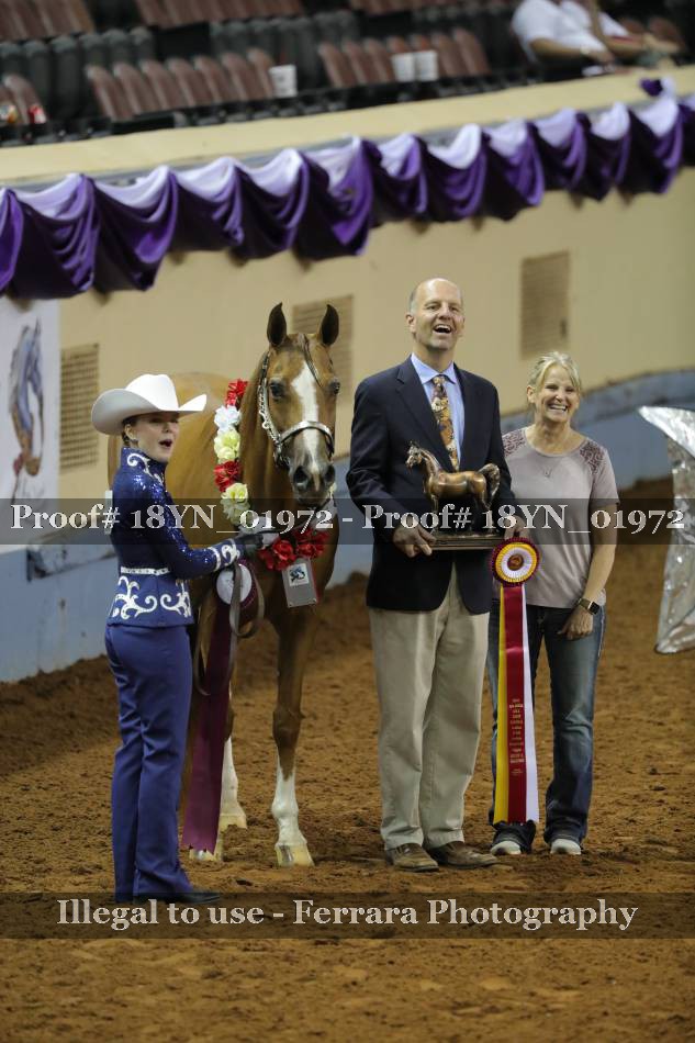 Proof 18YN_01972