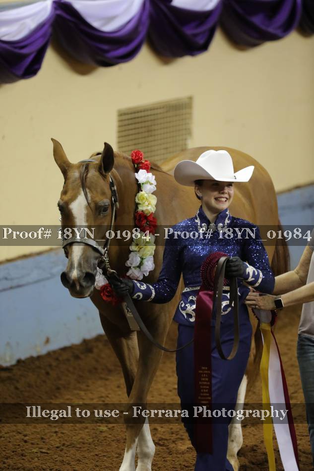 Proof 18YN_01984