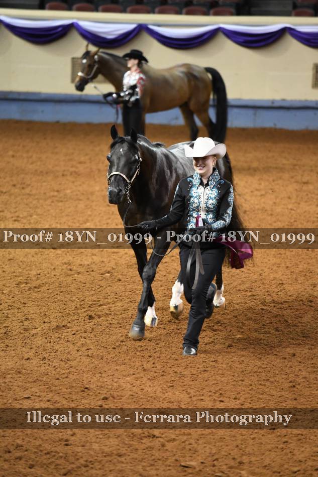 Proof 18YN_01999