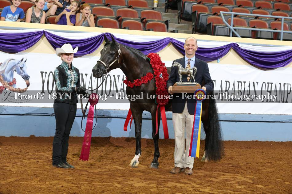 Proof 18YN_02003