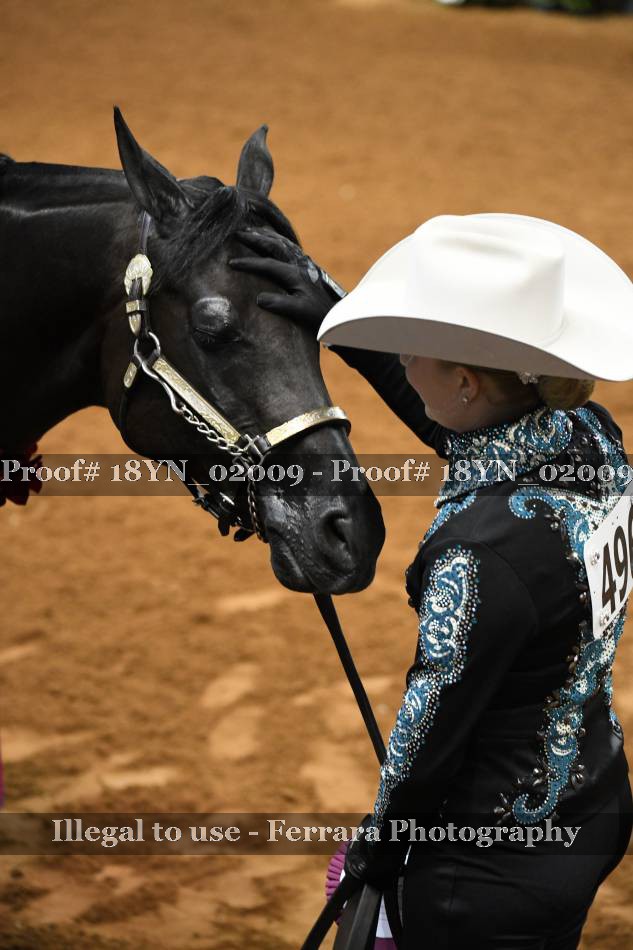 Proof 18YN_02009