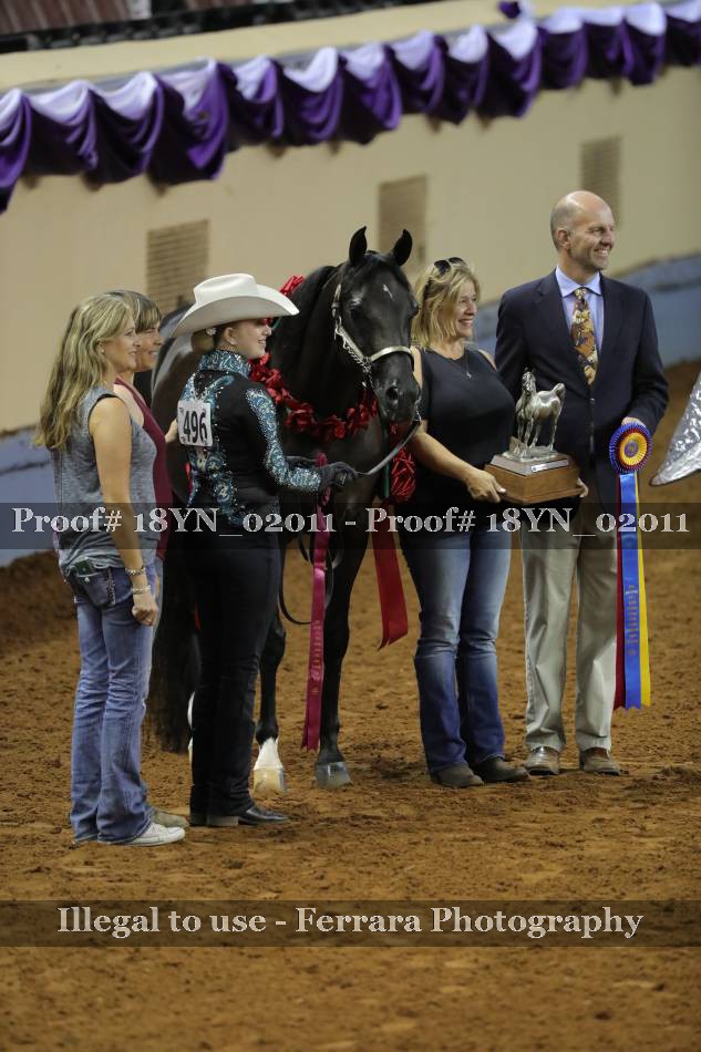 Proof 18YN_02011