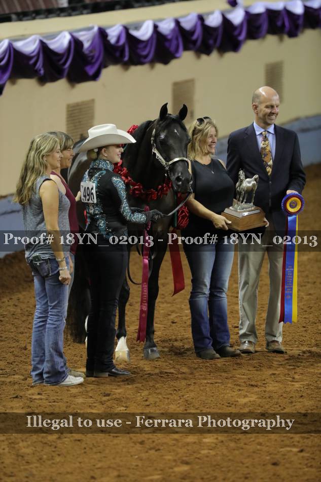 Proof 18YN_02013