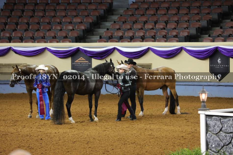 Proof 18YN_02014