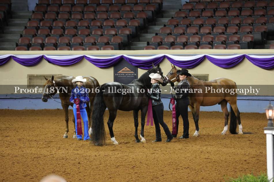 Proof 18YN_02016