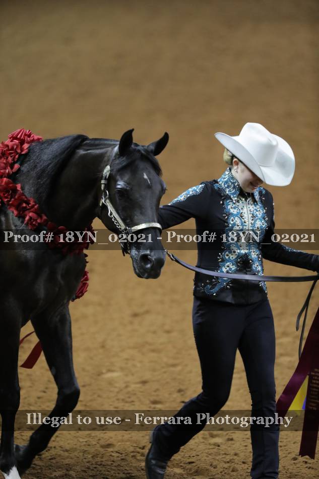 Proof 18YN_02021