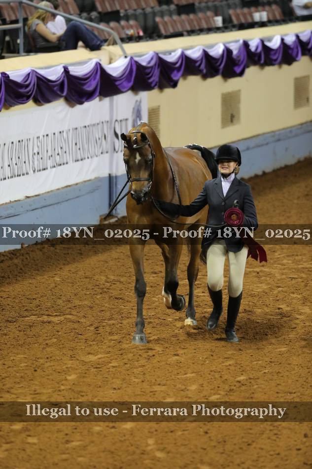 Proof 18YN_02025