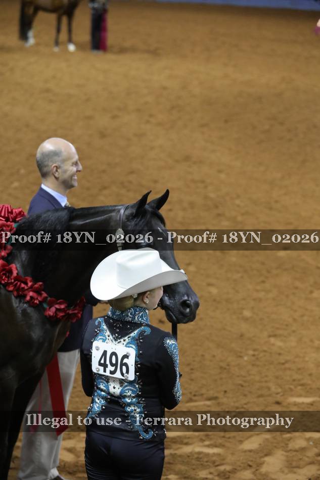 Proof 18YN_02026