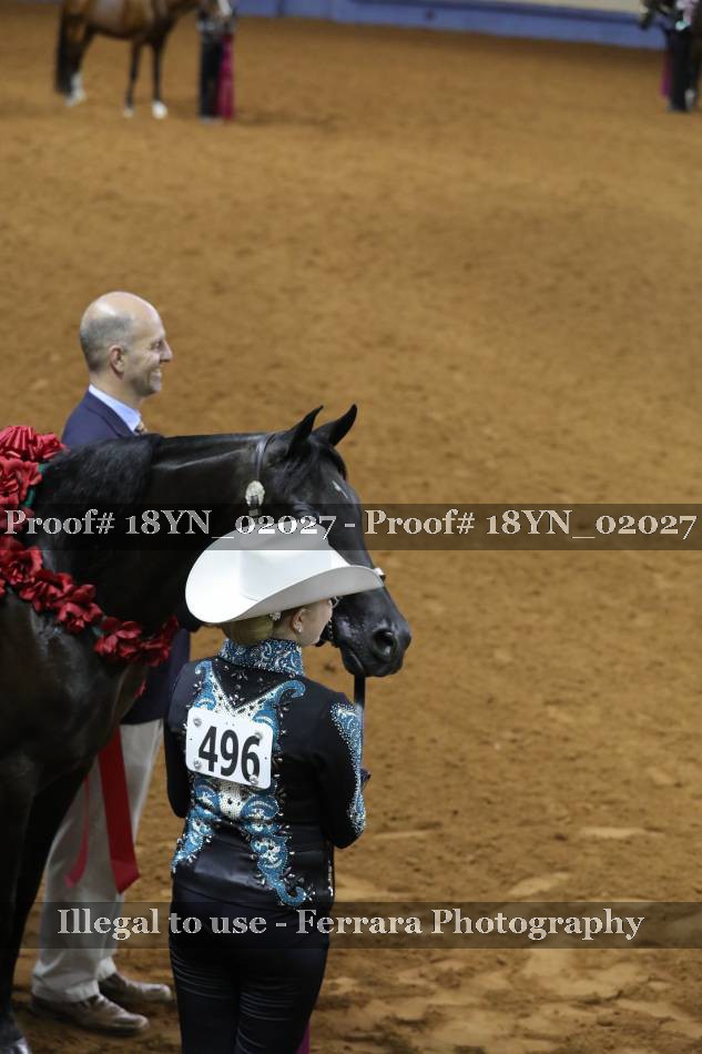 Proof 18YN_02027