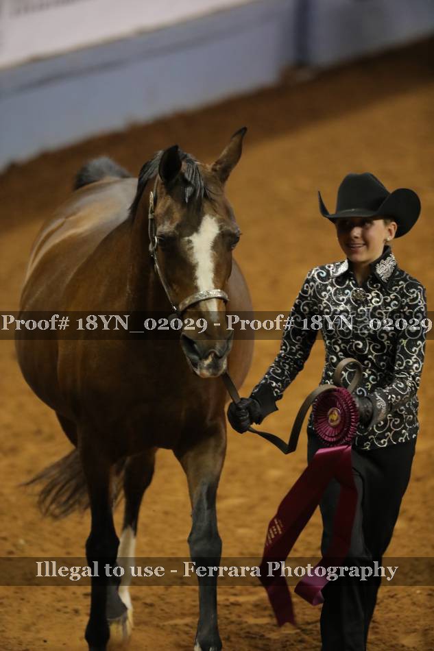 Proof 18YN_02029