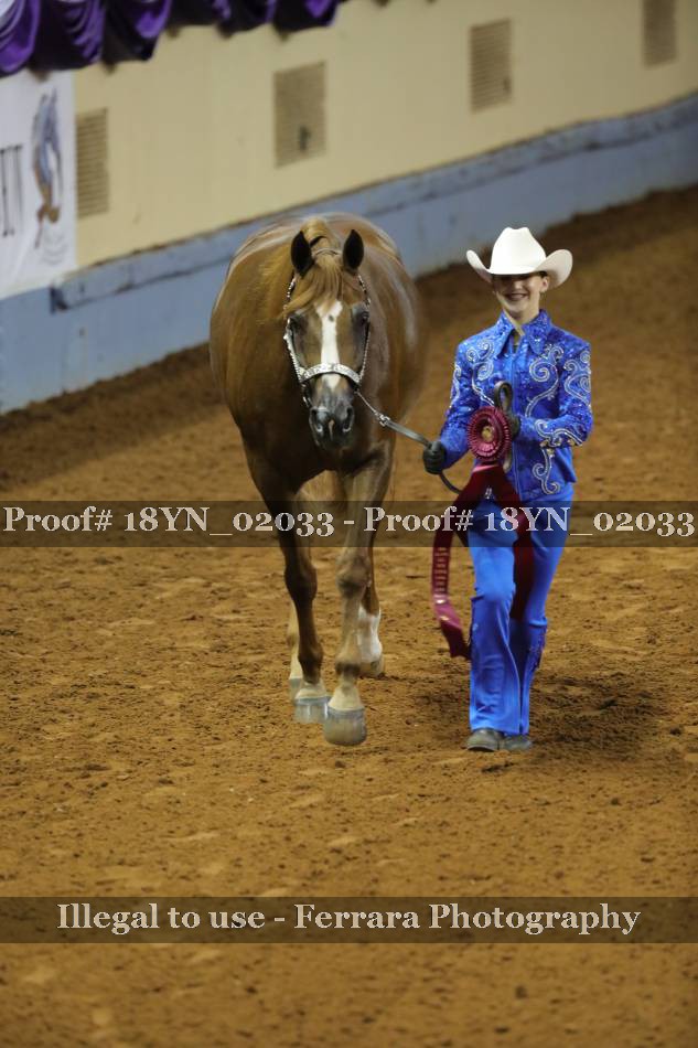 Proof 18YN_02033