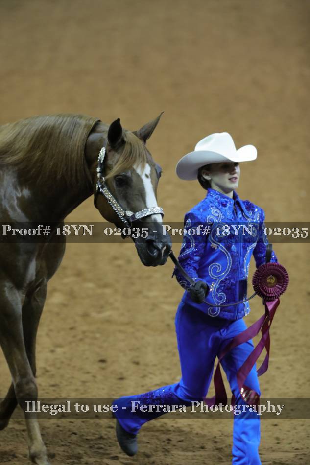 Proof 18YN_02035