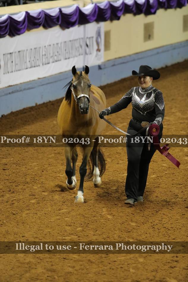 Proof 18YN_02043