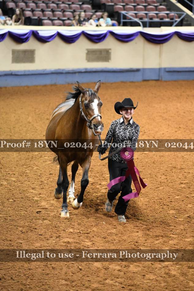 Proof 18YN_02044