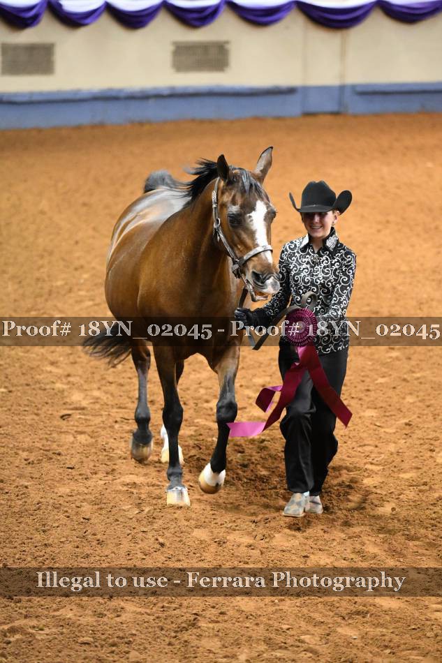 Proof 18YN_02045
