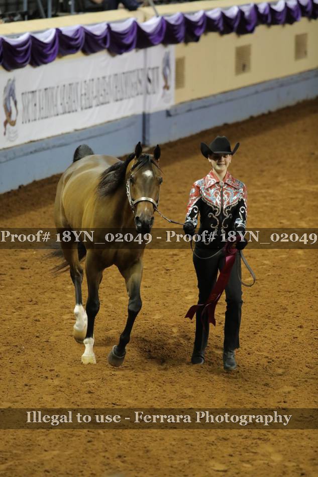 Proof 18YN_02049