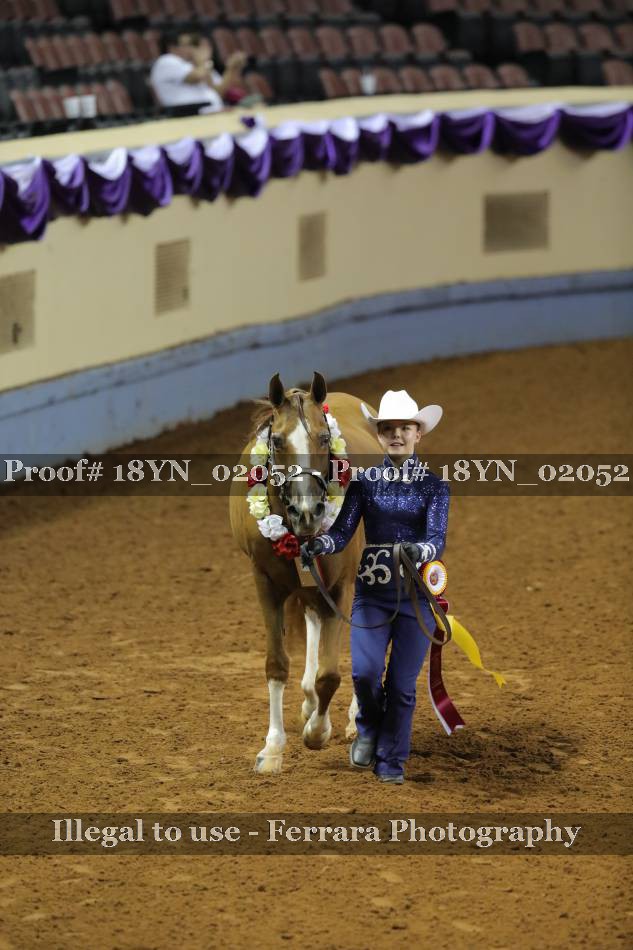 Proof 18YN_02052