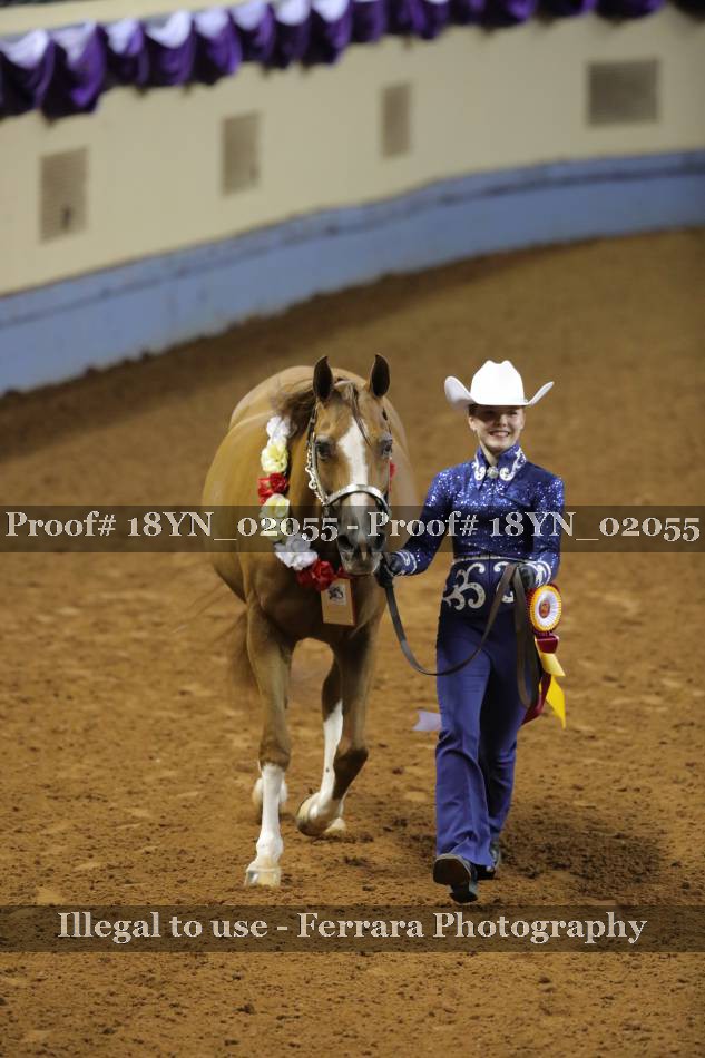 Proof 18YN_02055
