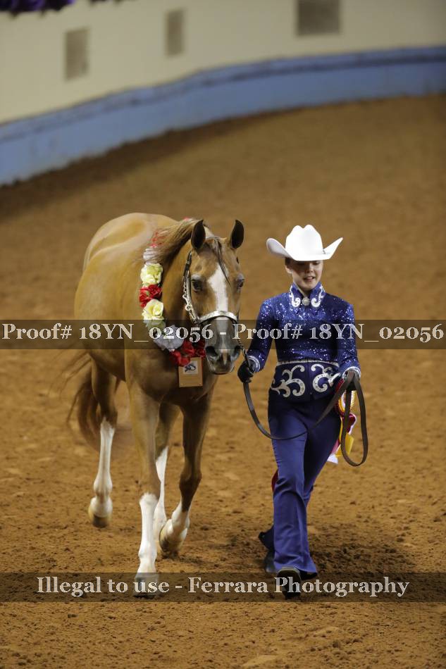 Proof 18YN_02056