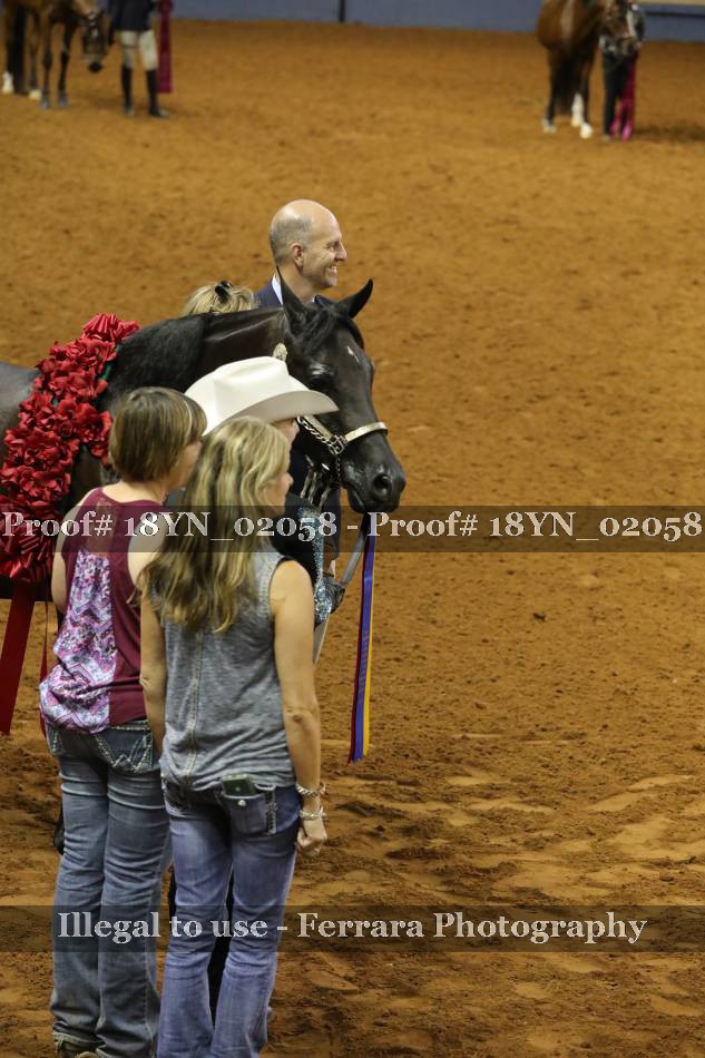 Proof 18YN_02058