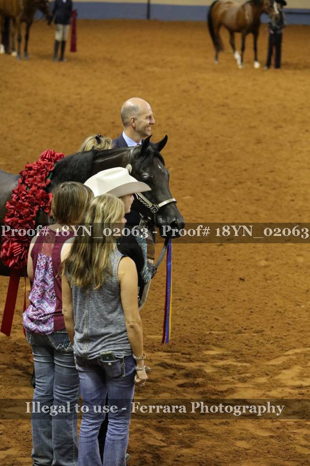 Proof 18YN_02063