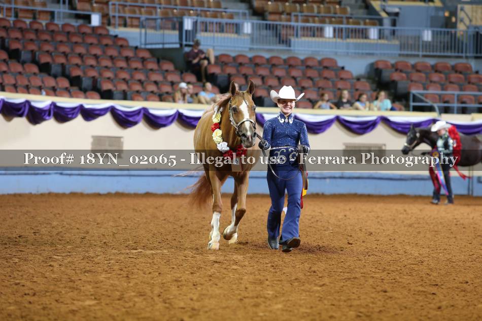 Proof 18YN_02065