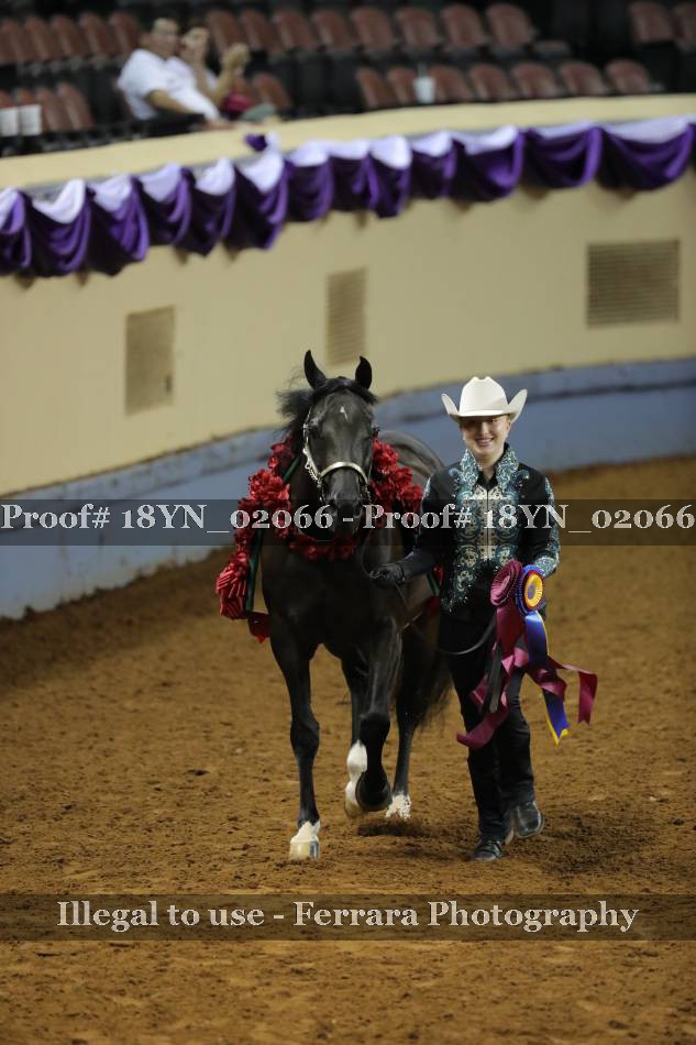 Proof 18YN_02066