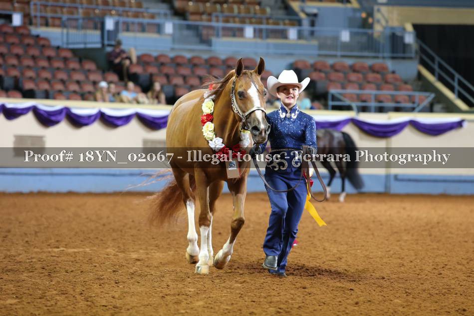 Proof 18YN_02067