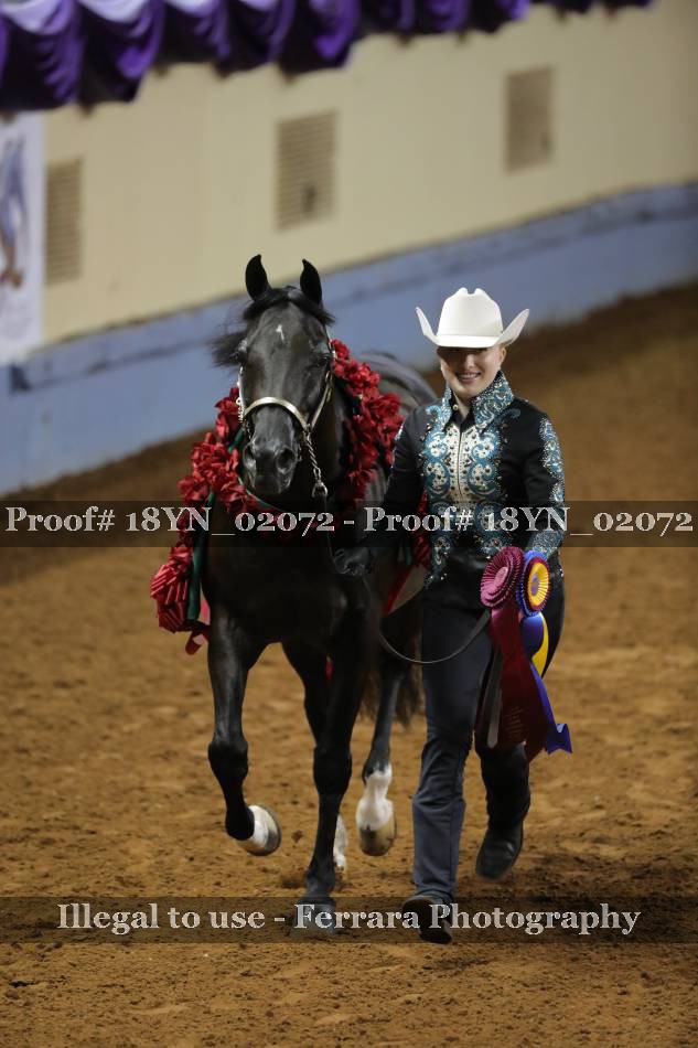 Proof 18YN_02072