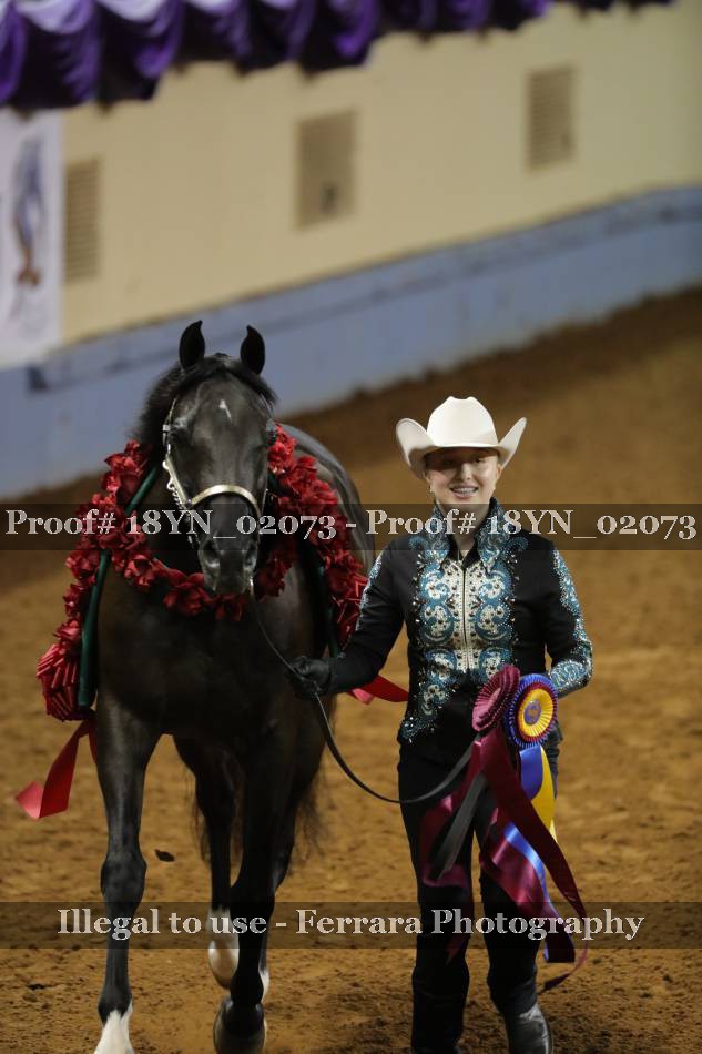 Proof 18YN_02073