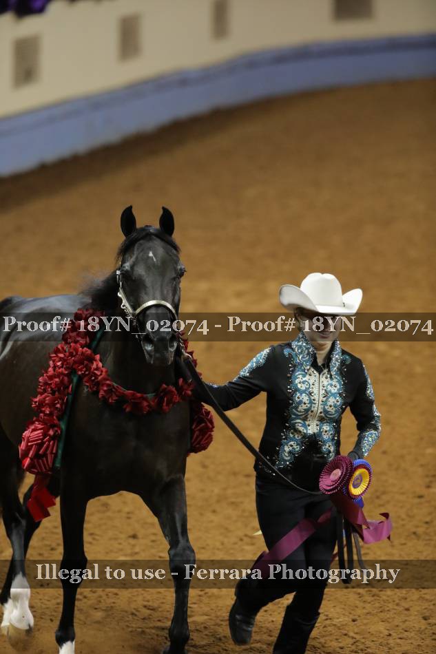 Proof 18YN_02074