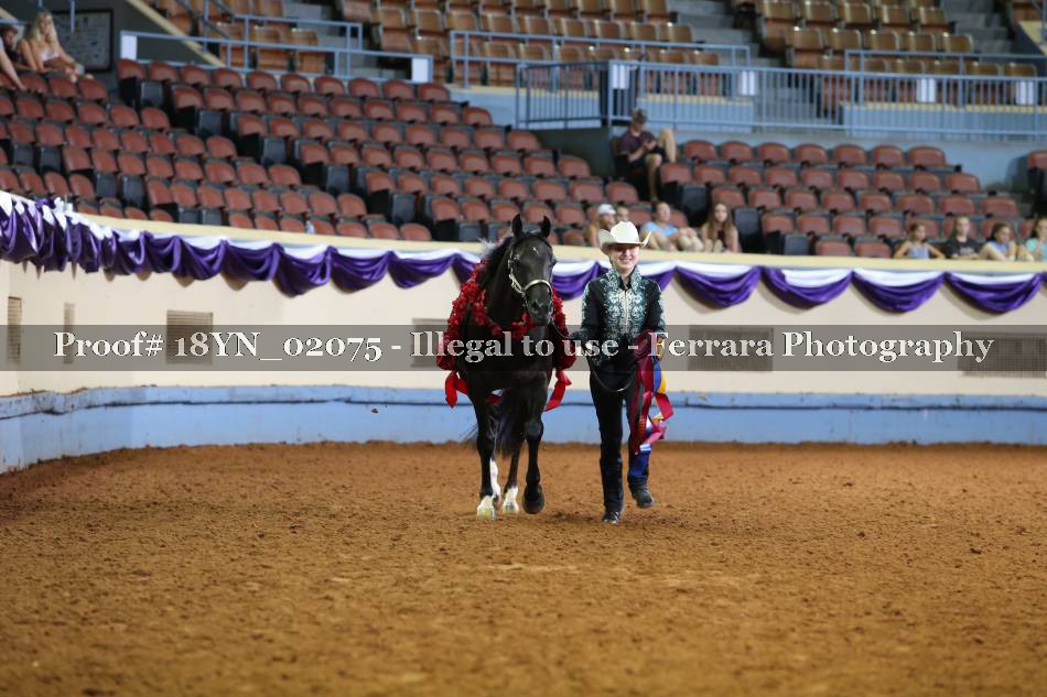 Proof 18YN_02075