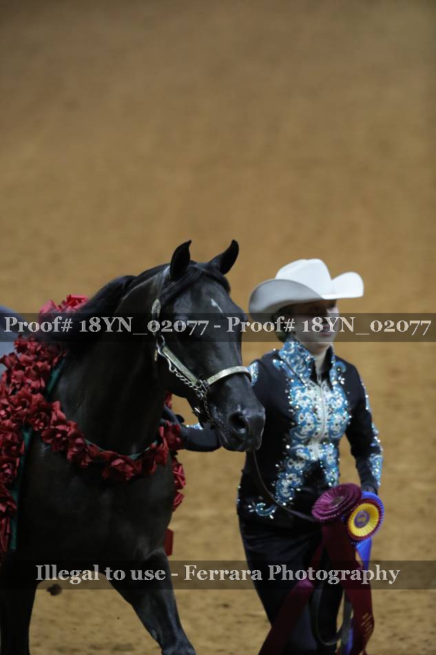 Proof 18YN_02077
