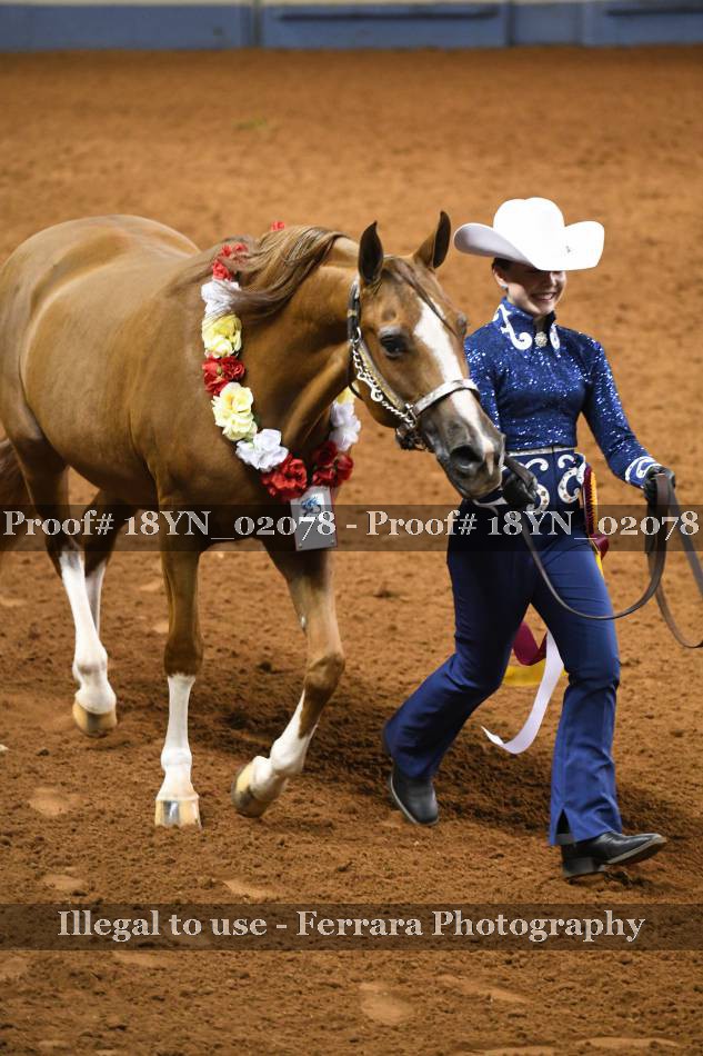 Proof 18YN_02078