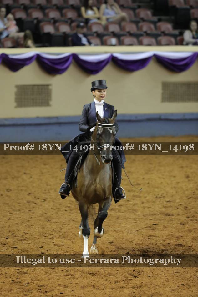 Proof 18YN_14198