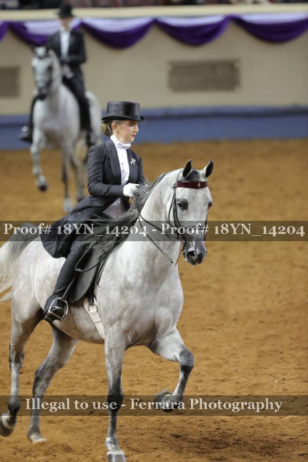 Proof 18YN_14204