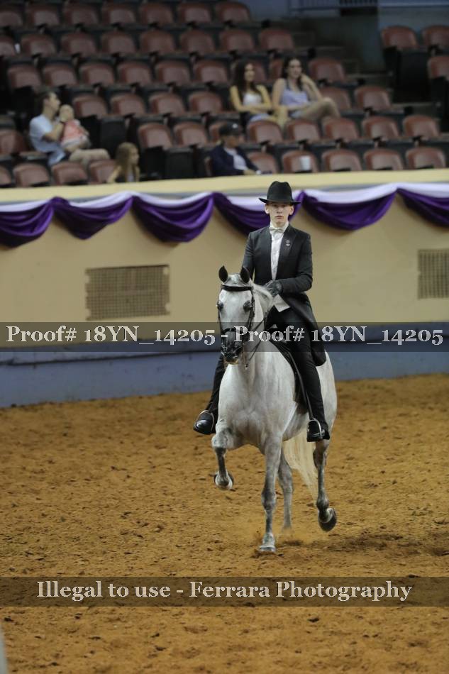 Proof 18YN_14205