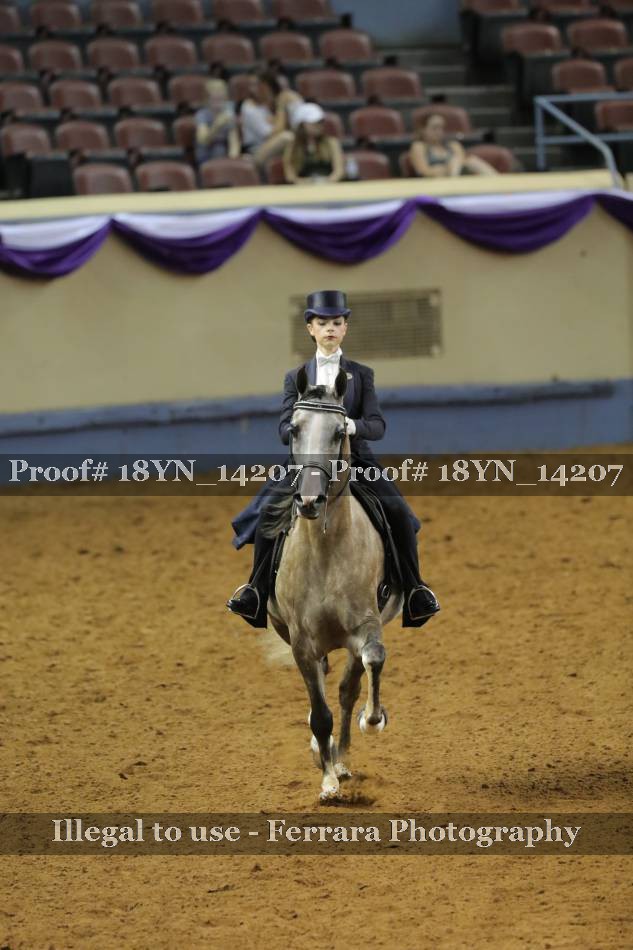 Proof 18YN_14207