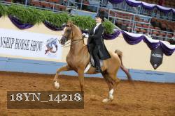 18YN_14218 proof