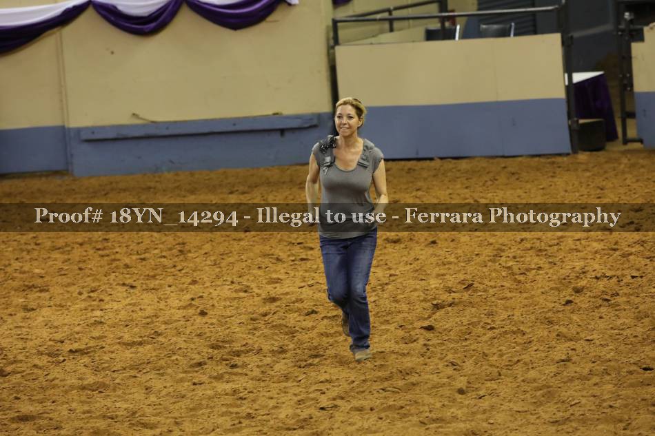 Proof 18YN_14294