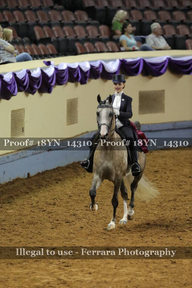 Proof 18YN_14310