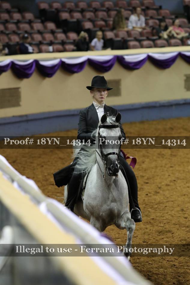 Proof 18YN_14314