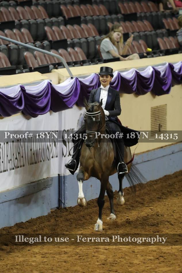 Proof 18YN_14315