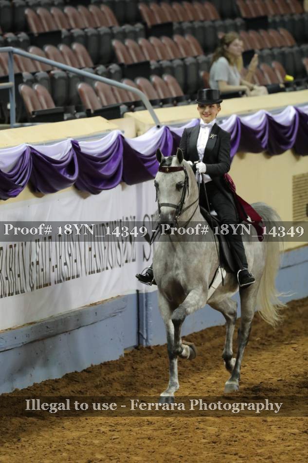 Proof 18YN_14349