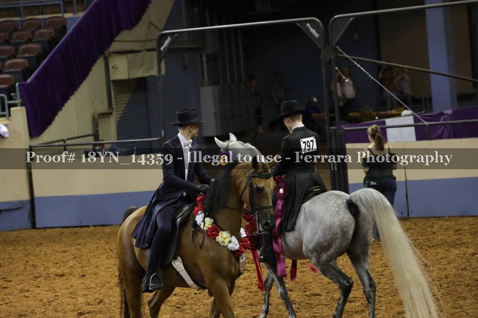 Proof 18YN_14359