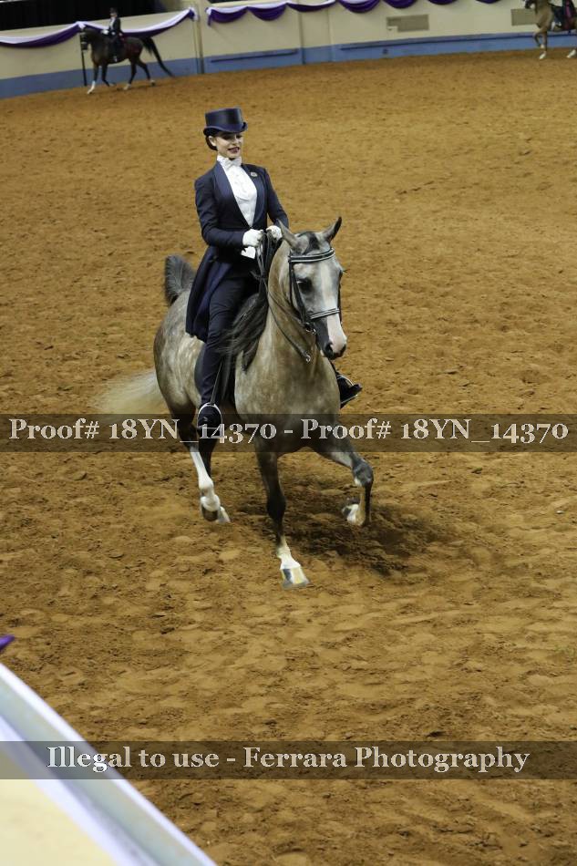 Proof 18YN_14370