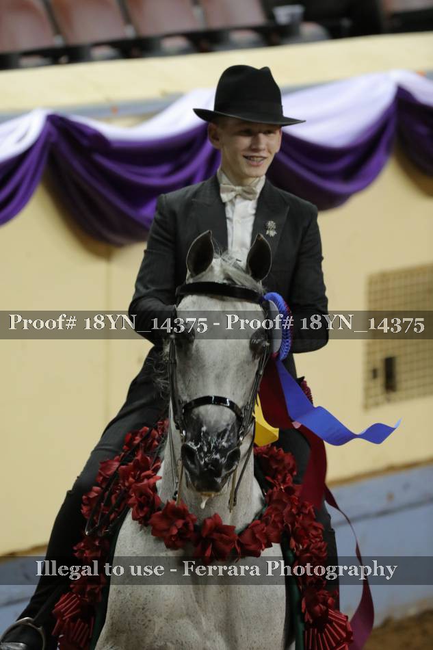 Proof 18YN_14375