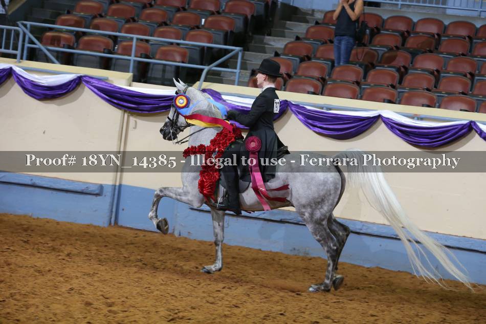 Proof 18YN_14385
