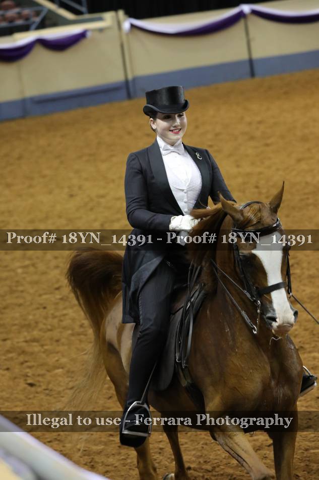 Proof 18YN_14391