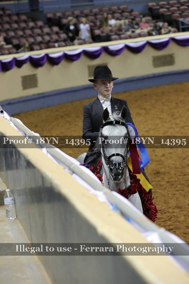 Proof 18YN_14395